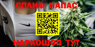 амф Новокубанск