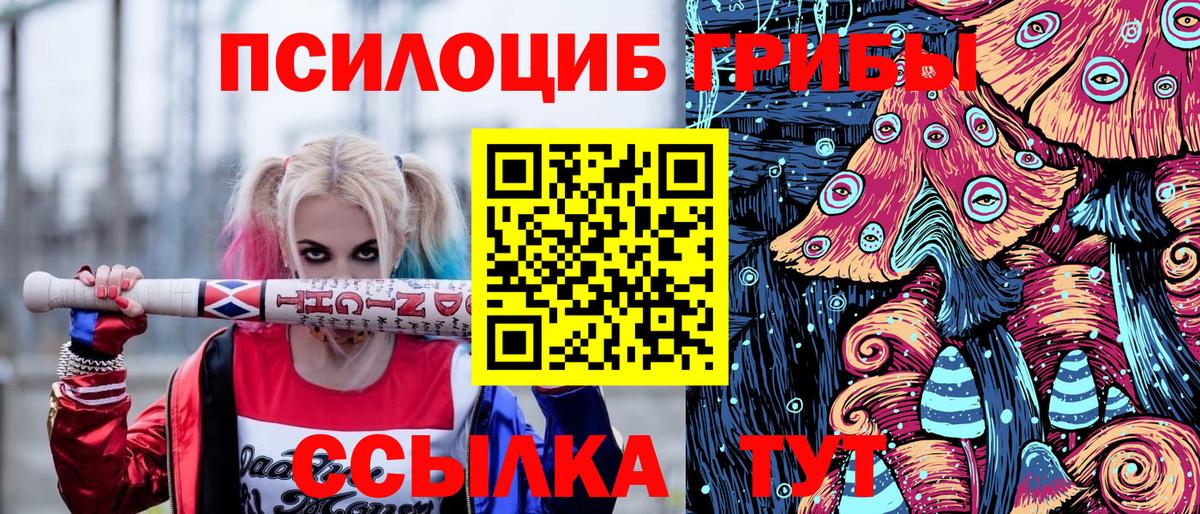 Галлюциногенные грибы Psilocybine cubensis  Псилоцибиновые грибы мицелий  Учалы  купить   Вход с VPN 
